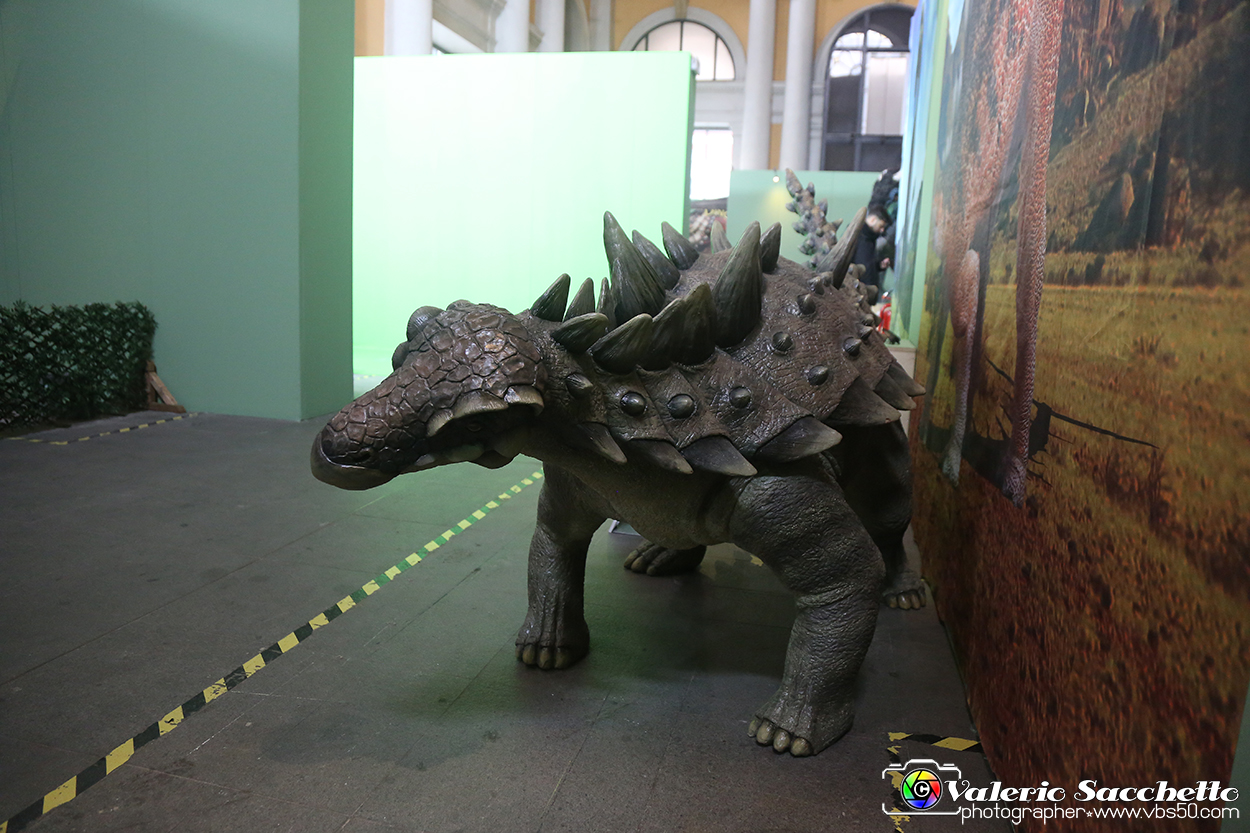 VBS_1075 - Dinosauri. Terra dei giganti.jpg